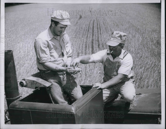 1954 Press Photo Jimmy Cole & father Chester examine barley atop their combine - Historic Images