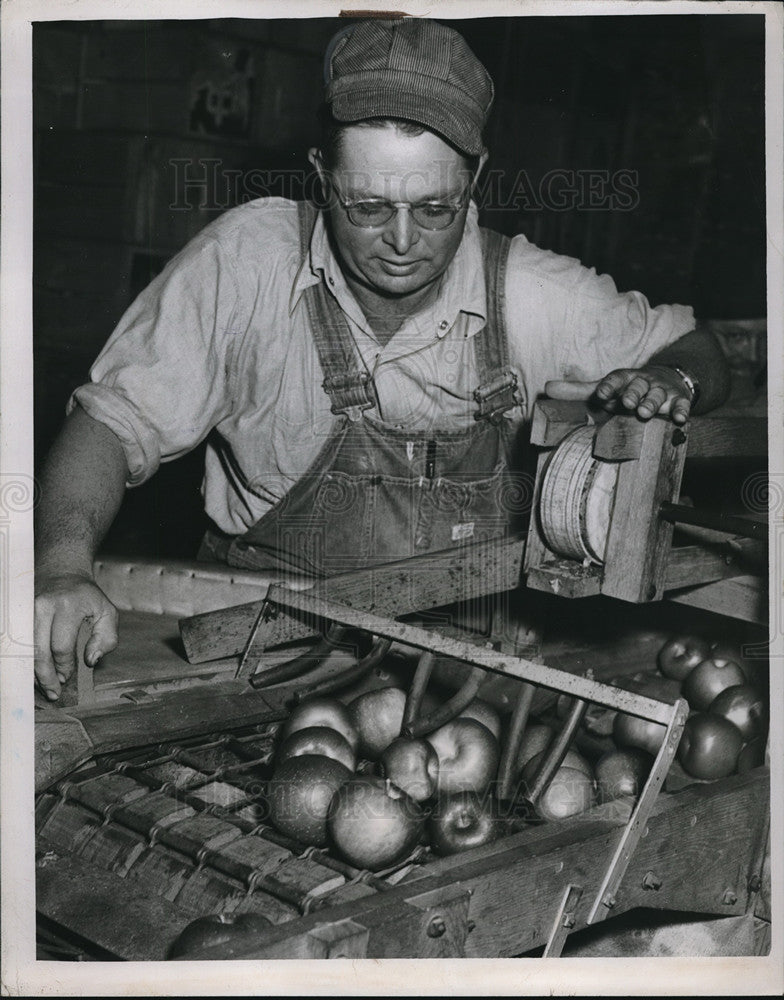 1941 Press Photo Jim Schmidt harvest 4000 baskets of Apples - Historic Images