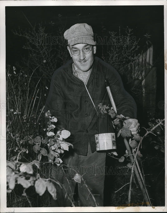 1953 Press Photo Rex Bullard of Rocky River Dr. picking Raspberries-Historic Images