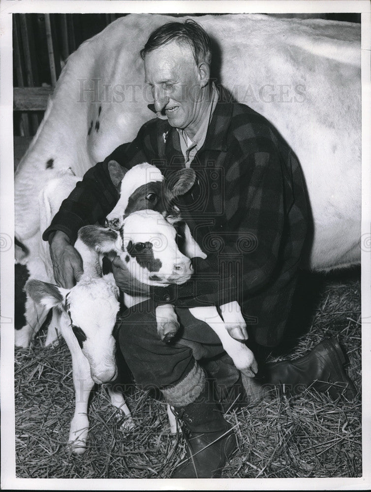 1956 Man holds newborn calves  - Historic Images