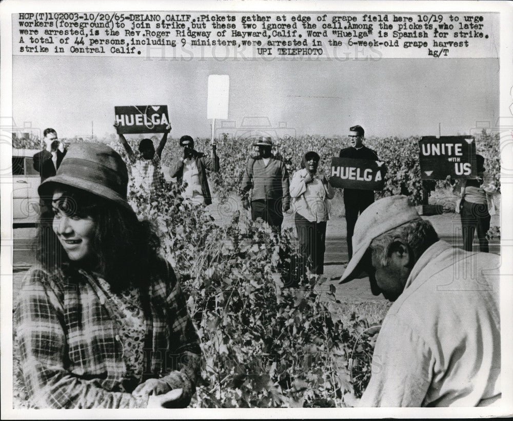 1965 Press Photo Pickets gather at edge of grape field at Delano California - Historic Images