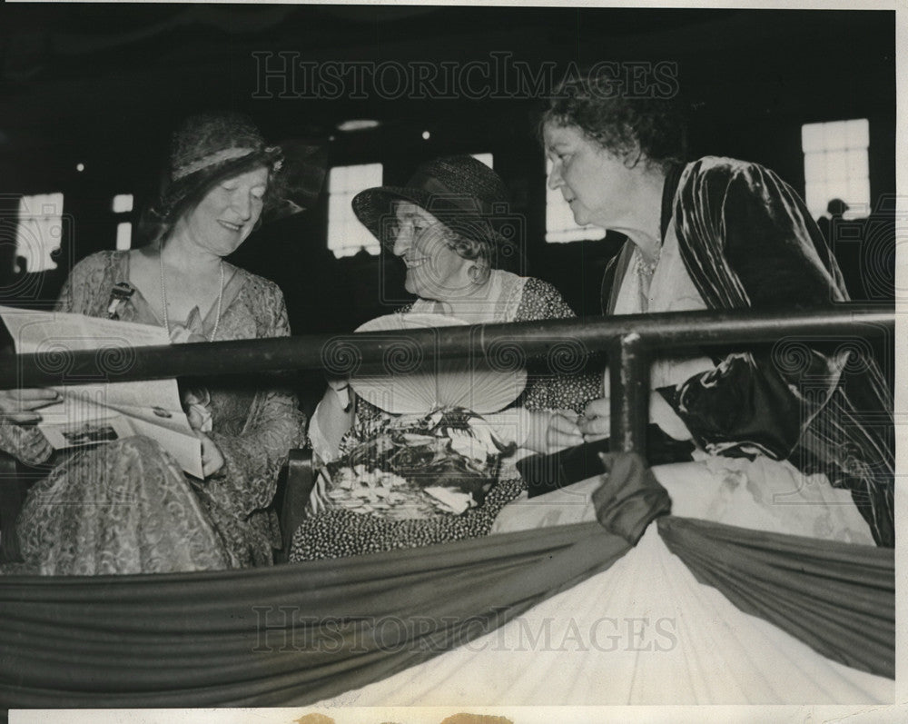 1932 Press Photo Women Delegates at Democratic Convention, Donohoe, Rodman - Historic Images