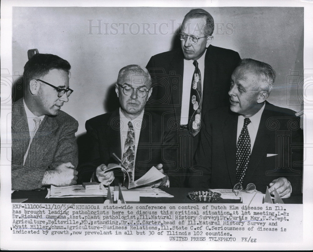 1955 Press Photo Conference on Control of Dutch Elm Disease in Chicago - Historic Images