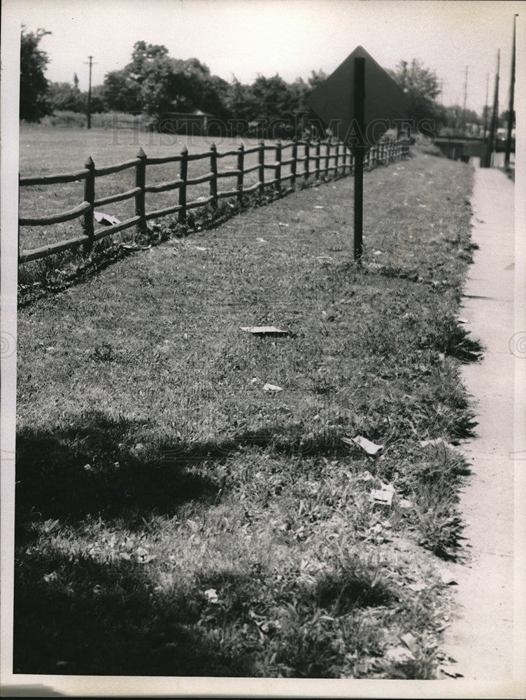 1959 Miles Road Litter Beside Roadway - Historic Images