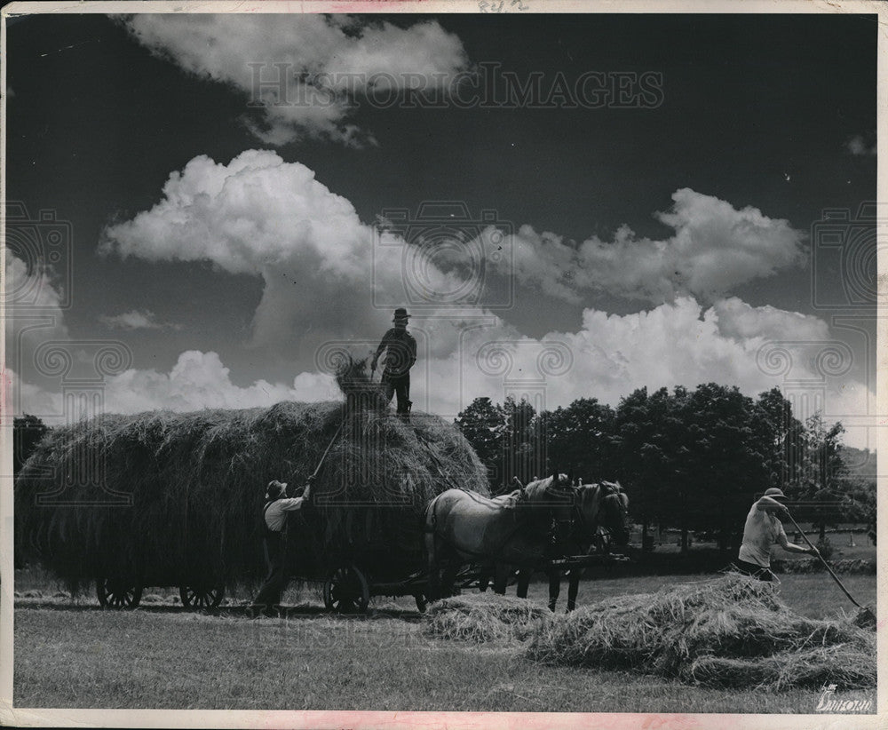 1967 Press Photo Haying at Pleaseant View Harms Shirley Hill New Hampshire - Historic Images