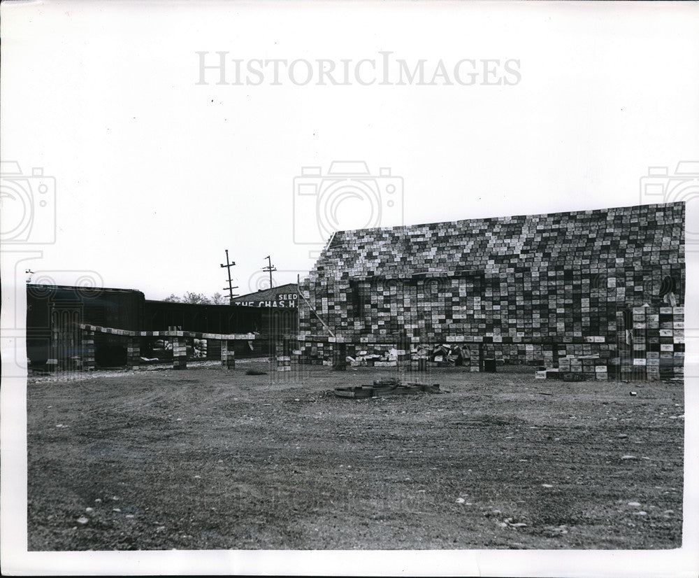 1948 Press Photo 1260 Field Boxed to Hold Fruit to Pack Carload of Apples - Historic Images