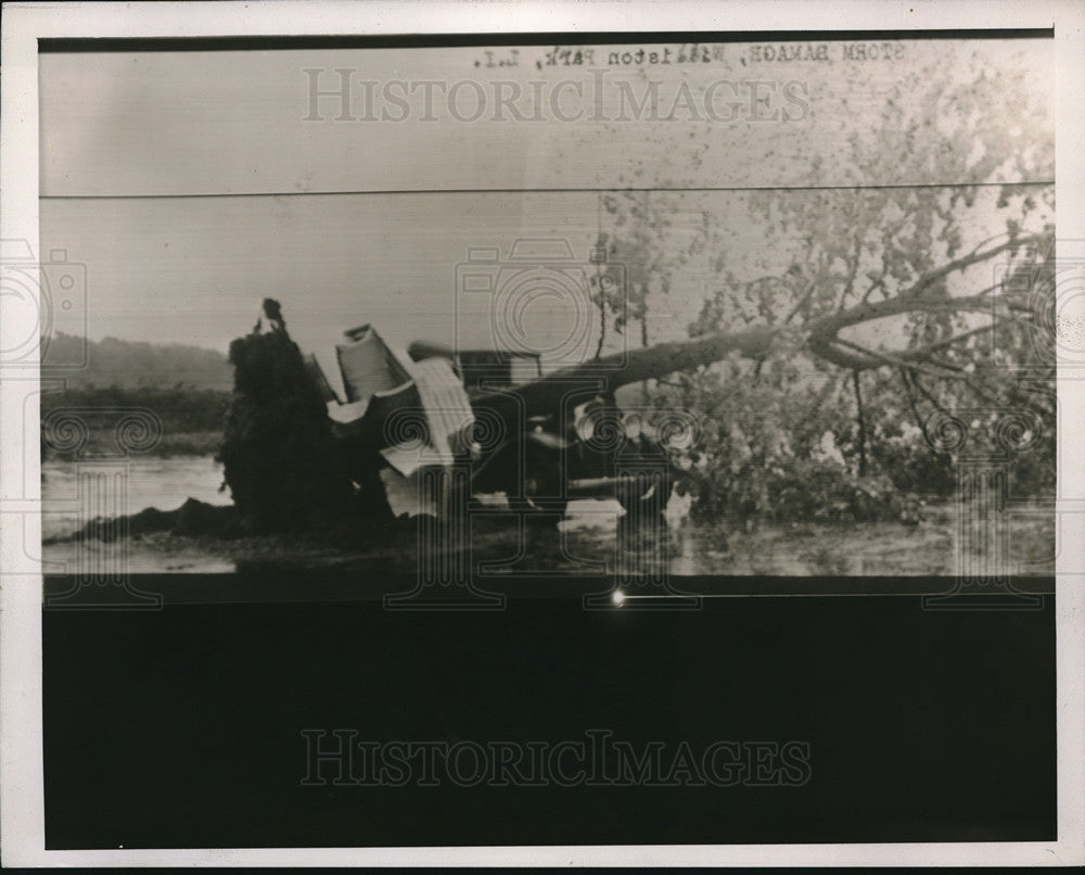 1938 Press Photo Tree Falls Down On Car In Accident During Hurricane - Historic Images