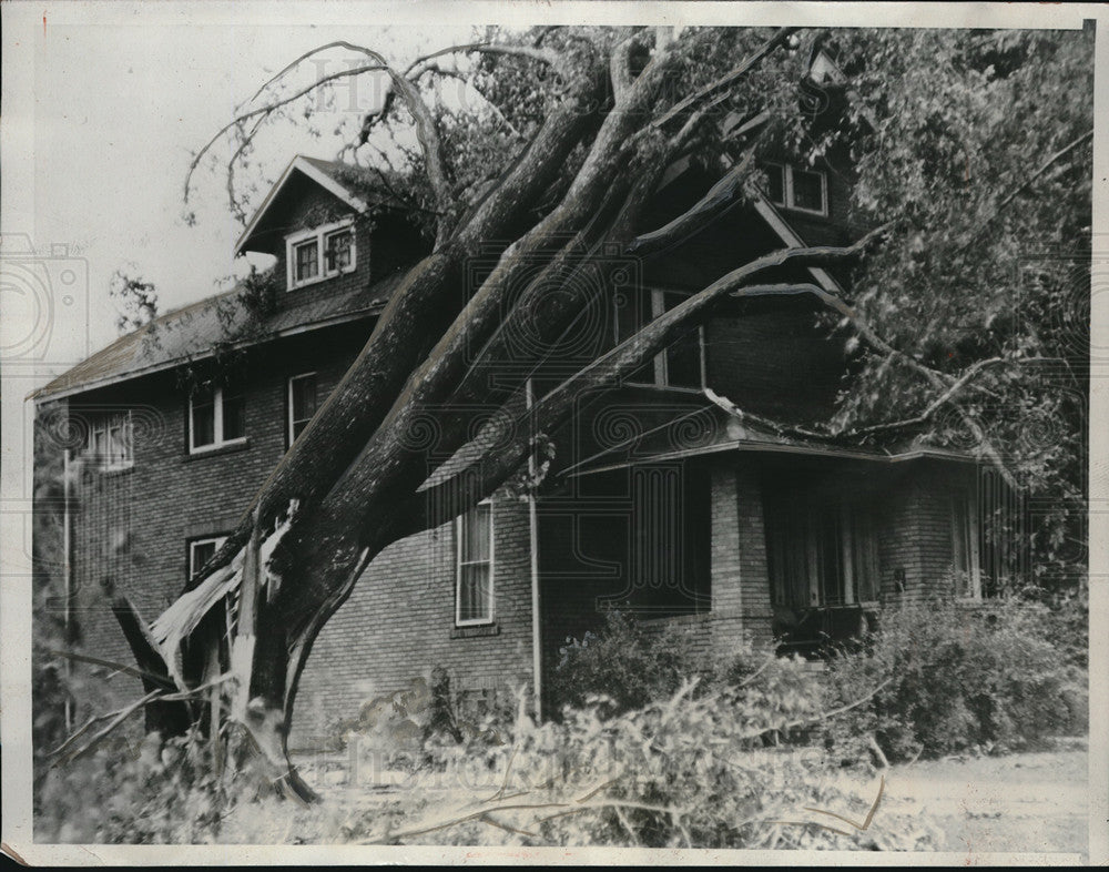 1934 Press Photo Aged Tree Falls on Home by Tornado in Jacksonville, Illinois-Historic Images