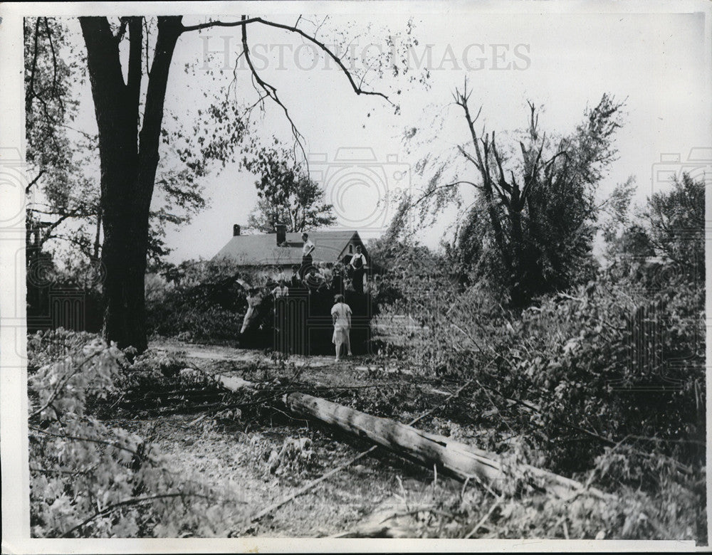 1934 Press Photo Trees and Telephone Snapped by Tornado in Jacksonville, IL - Historic Images