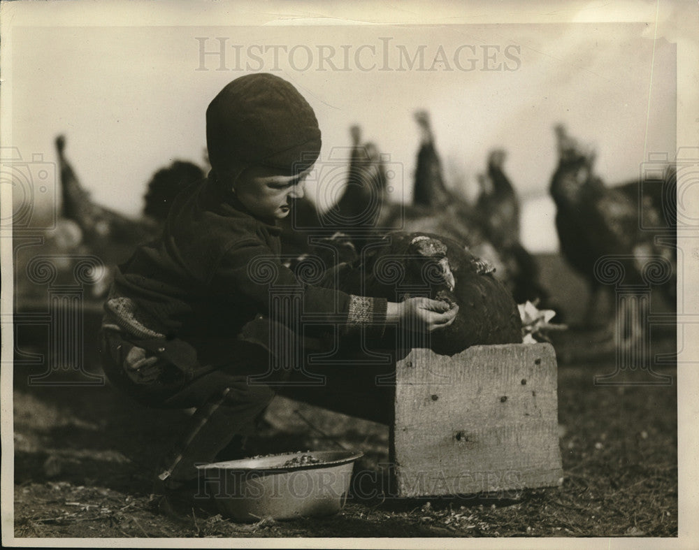 1934 A woman feeding a turkey at a farm  - Historic Images