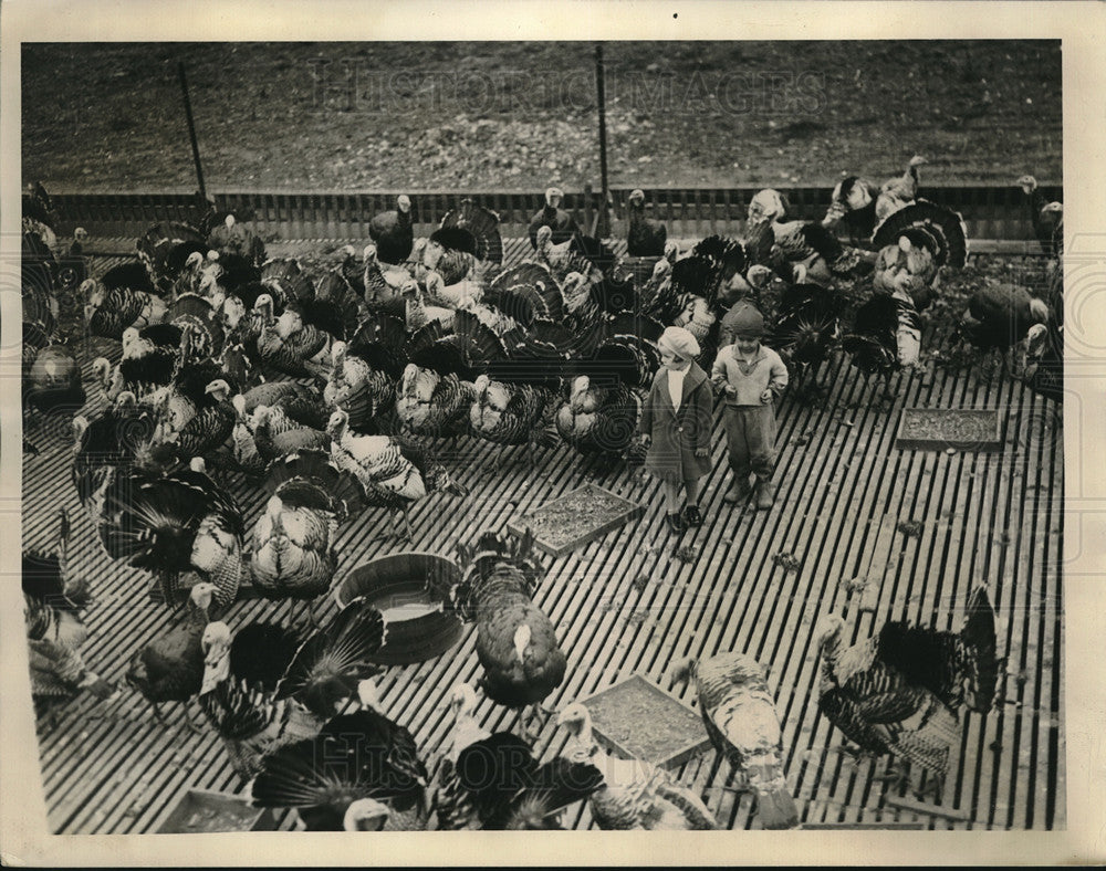 1934 Press Photo Children Walk Amongst Turkeys At Peck Turkey Farm-Historic Images