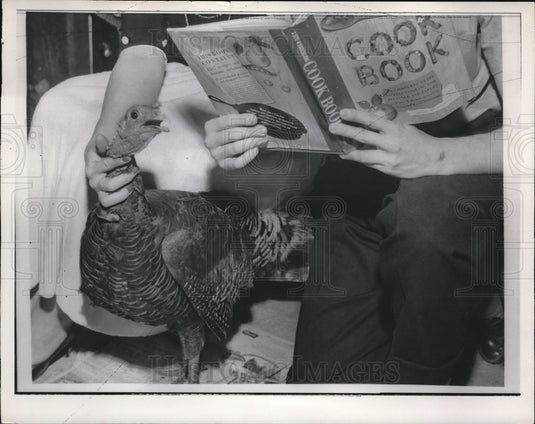 1957 Press Photo Person Holding a Live Turkey with a Cookbook - neb71406 - Historic Images