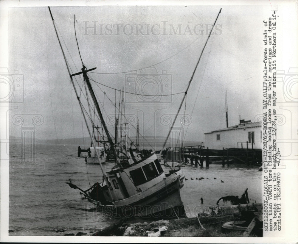 1965 Press Photo Gale Force Winds of More 70 MPH Tore Fishing Boats Loose - Historic Images