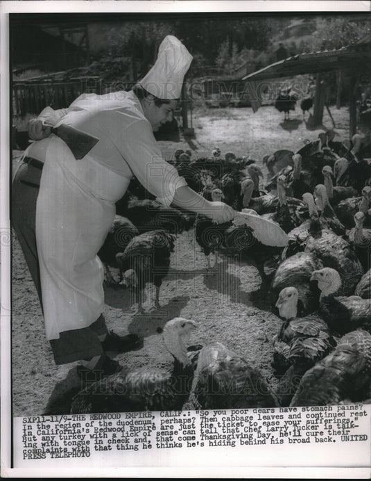 1954 Press Photo Redwoods, Calif. Chef Larry Tucker & turkeys for Thanksgiving - Historic Images