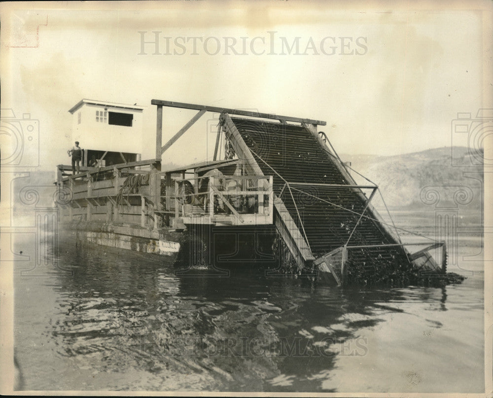 928 Press Photo Kelp Los Angeles Harbor Californian - neb72741 - Historic Images