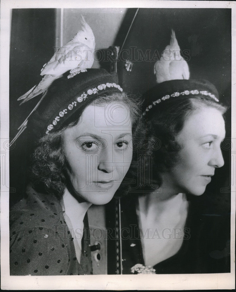 1944 Press Photo &quot;Sweetie Pie&quot; Cockatiel who went missing is back atop owner hat-Historic Images