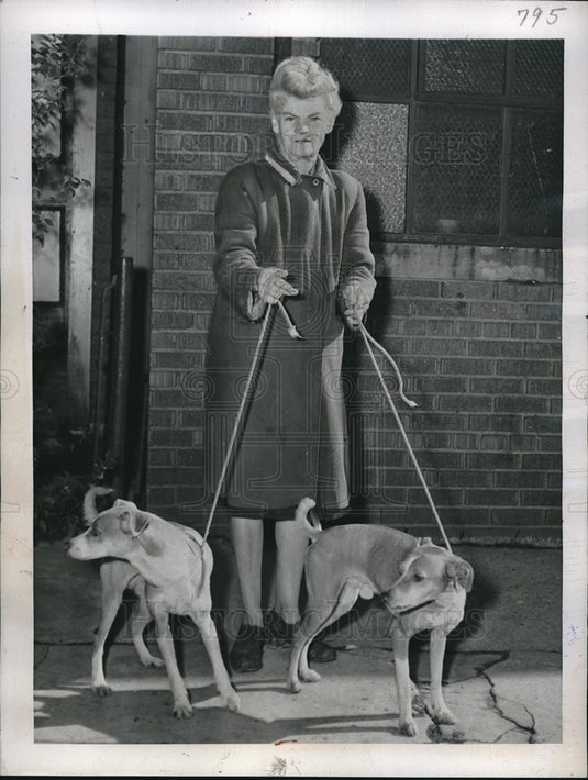 1945 Press Photo NYC, Shirley H Duncan & stray dogs she cares for - Historic Images