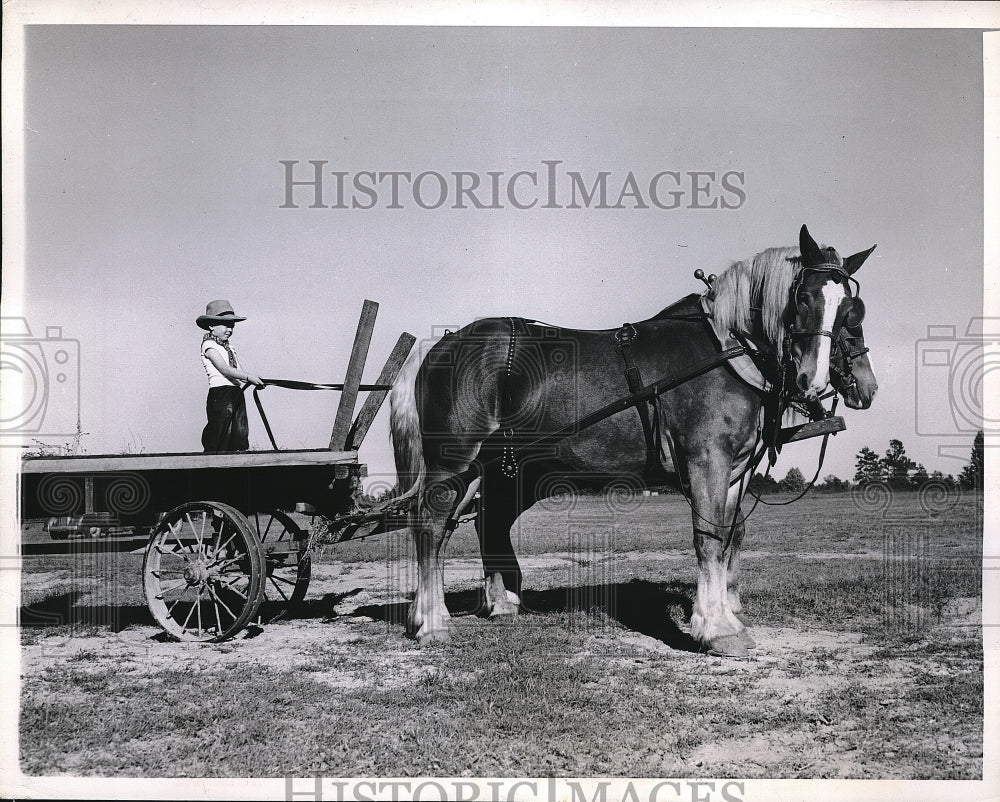 1944 Press Photo David Watkins drives Farm team Wagon-Historic Images