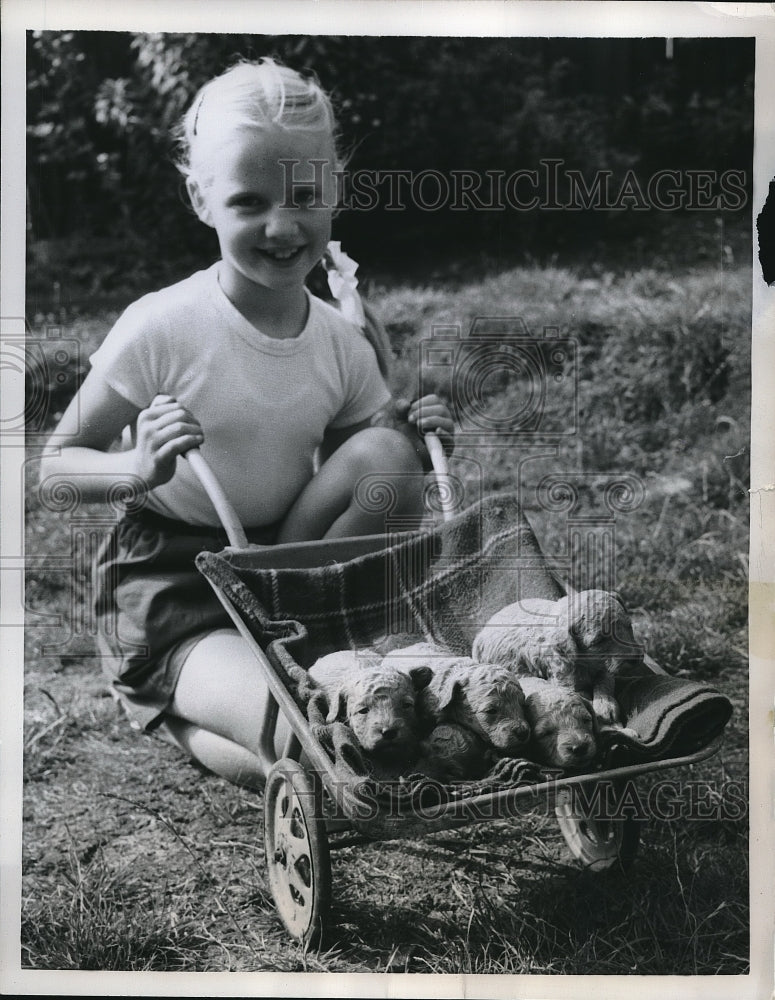 1959 Jacqueline Paull with poodle puppies, Surrey, England - Historic Images