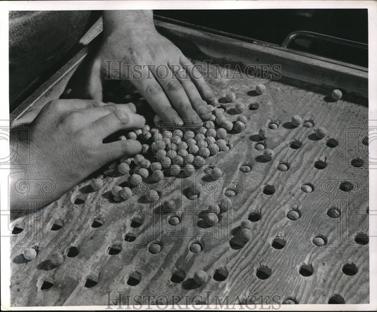 1950 Press Photo Silcone Balls - Historic Images