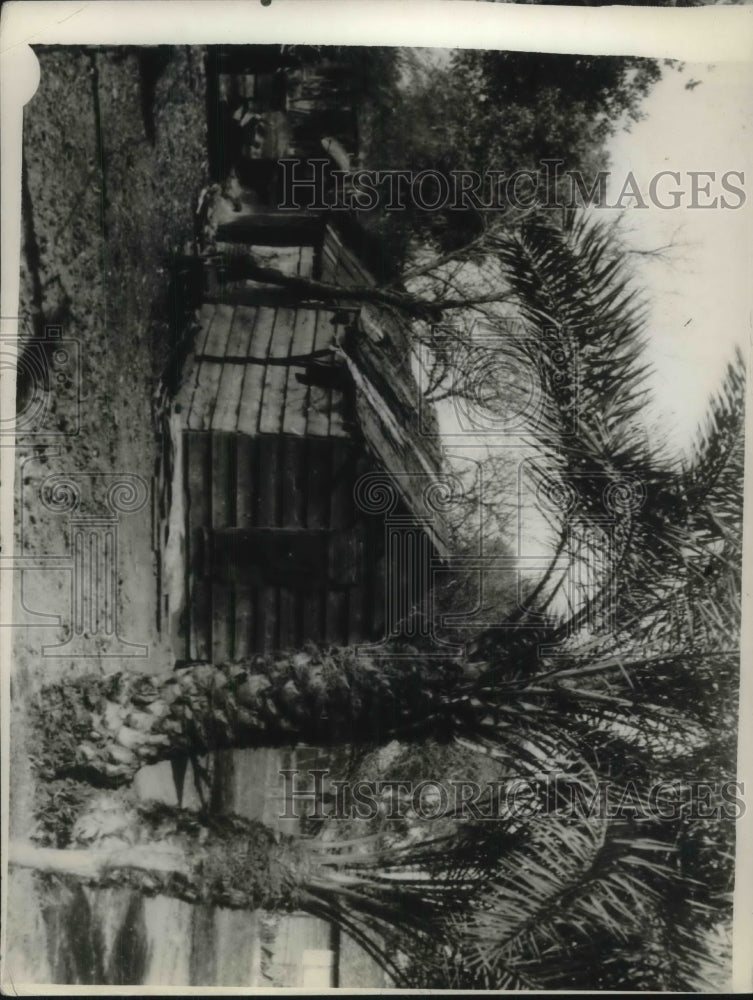 1928 Press Photo Cabin of Mr &amp; Mrs Francisca Valverde in Phoenix, Az.-Historic Images