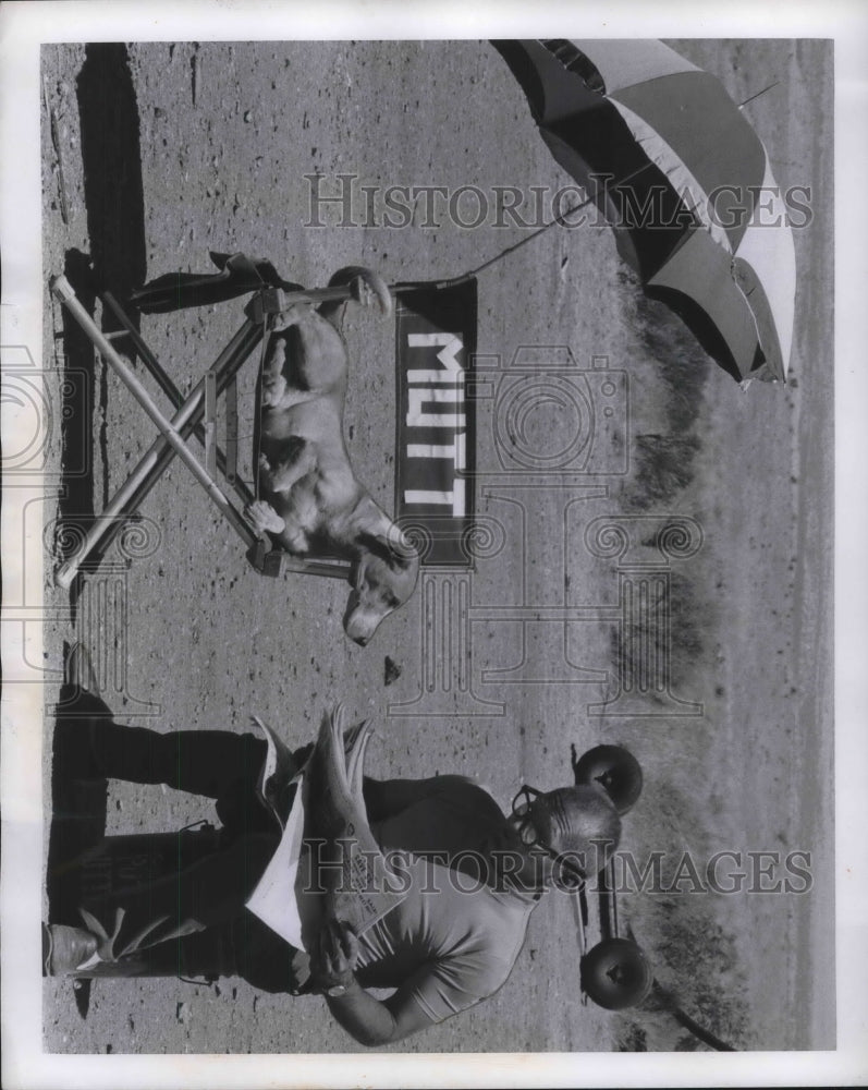 1969 Press Photo Movie dog trainer Ernie Smith &amp; a dog at a film set - Historic Images