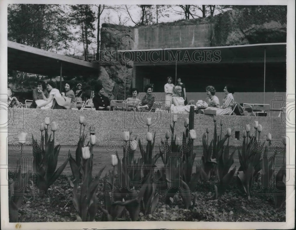 1960 Saarbruecken, Germany sun terrace with tulips &amp; girls - Historic Images