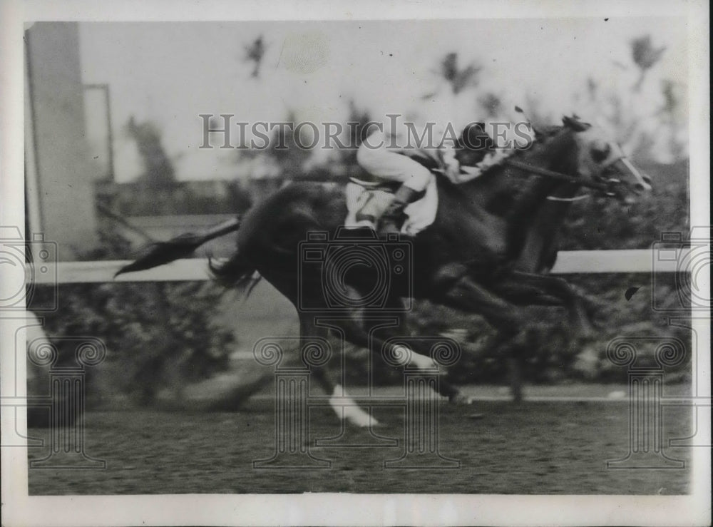 1933 Horse Our Rose with jockey C Corbett at Hialeah Park, Fla.-Historic Images