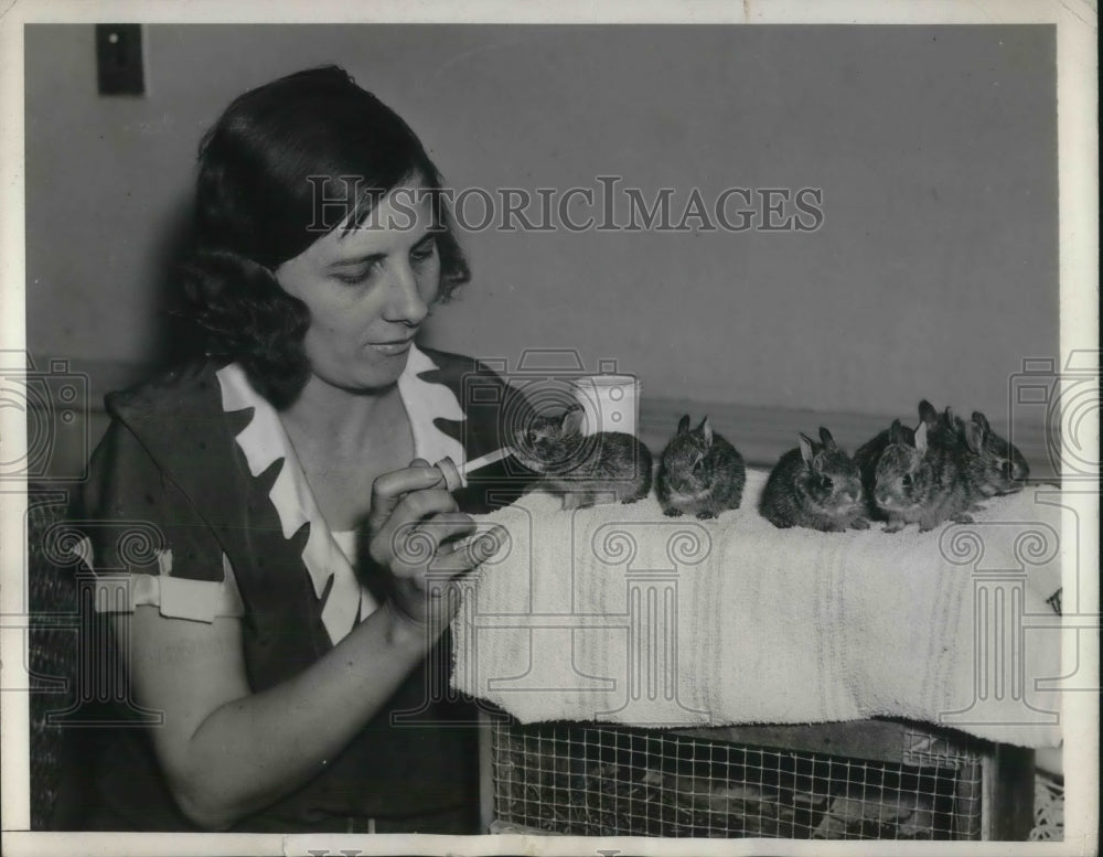 1934 Press Photo Baby bunnies &amp; Mrs Fadeley hand feeding them - Historic Images