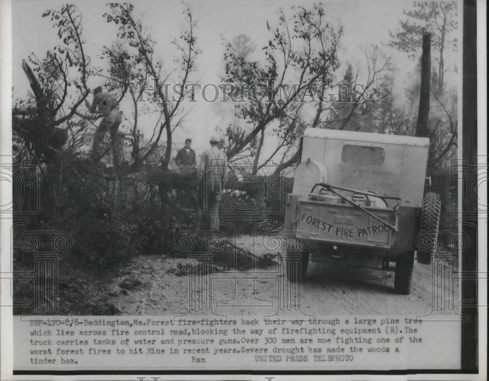 1952 Press Photo Beddington Forest Fires Burning Down Forest-Historic Images