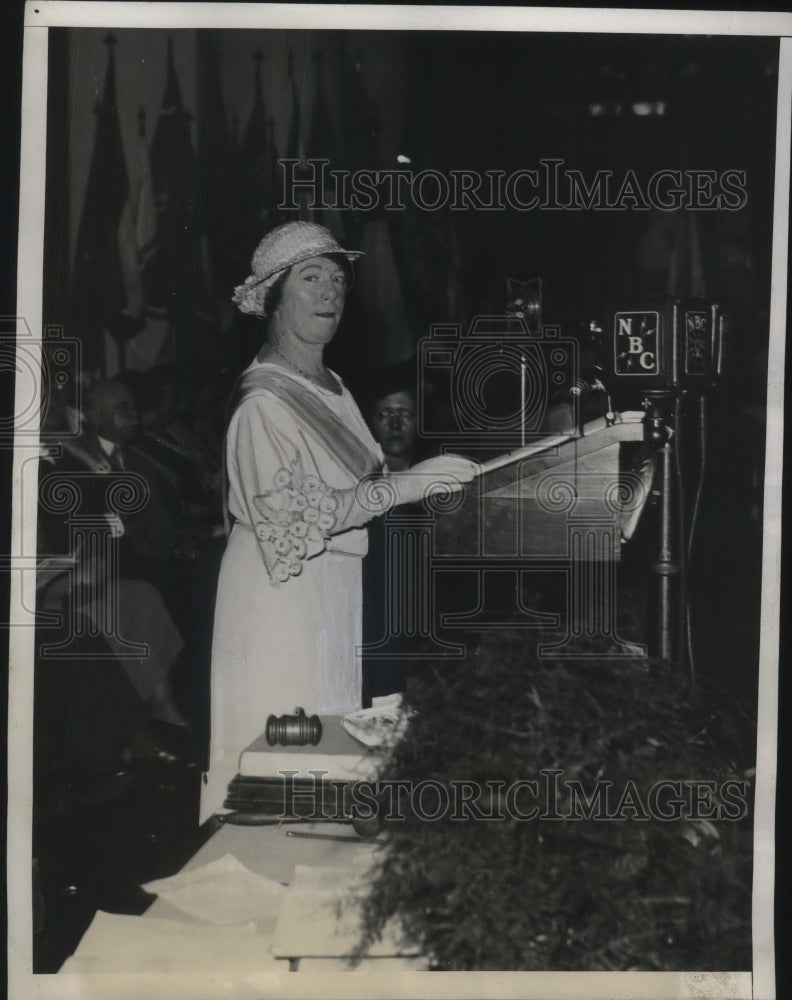 1933 Press Photo Mrs. Russell William Magna, Pres. of D.A.R. Opens Convention - Historic Images