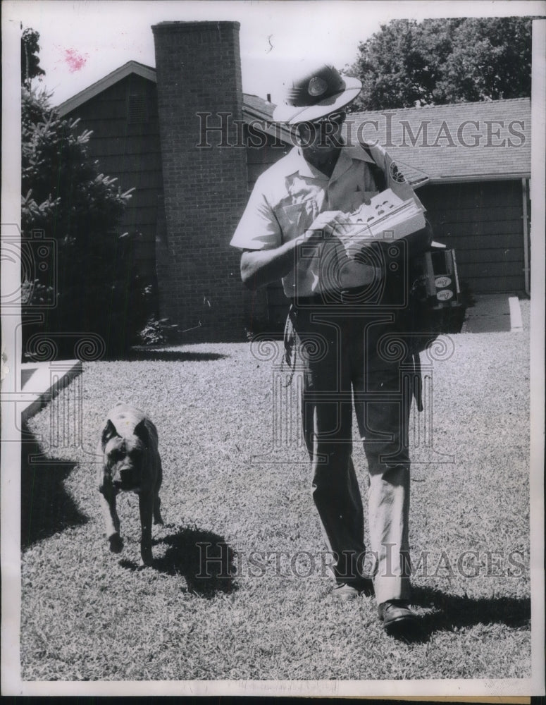 1957 Postman Ed Goodrich with Boxer Champ Goes on Delivery - Historic Images