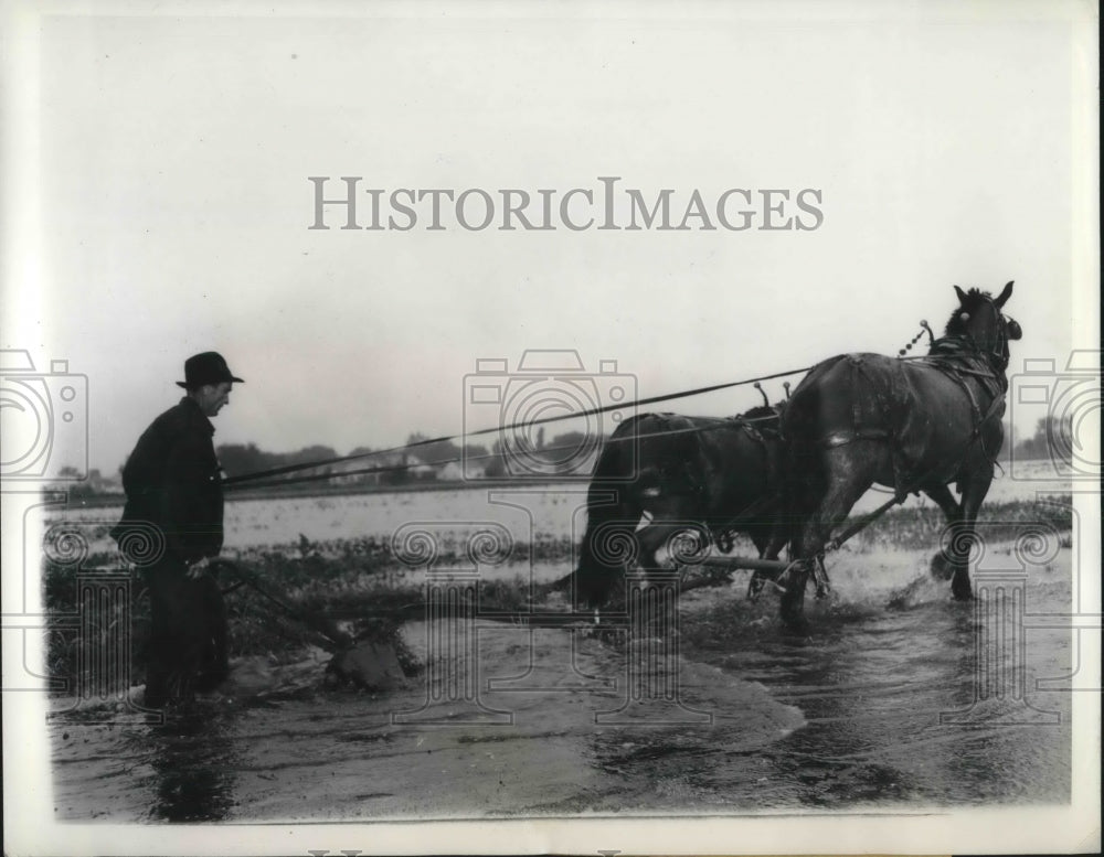 1943 T. R. Gregory, farmer, fighting high waters on potato crop-Historic Images