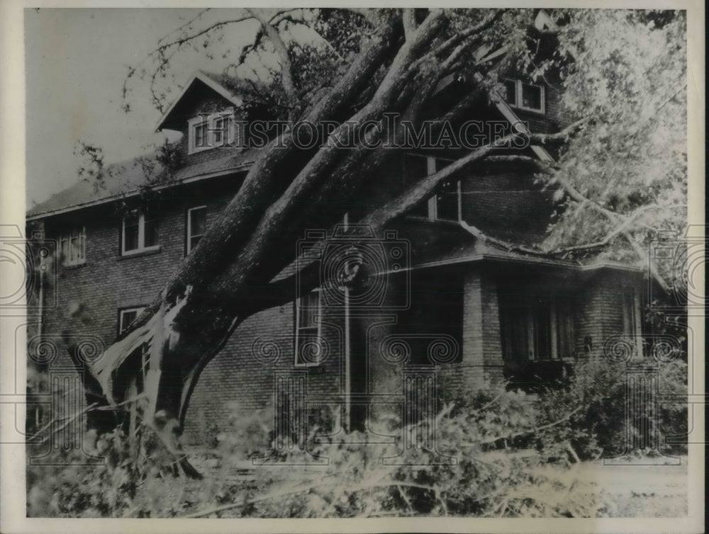 1934 Huge Tree struck by lightning, leaning against building - Historic Images