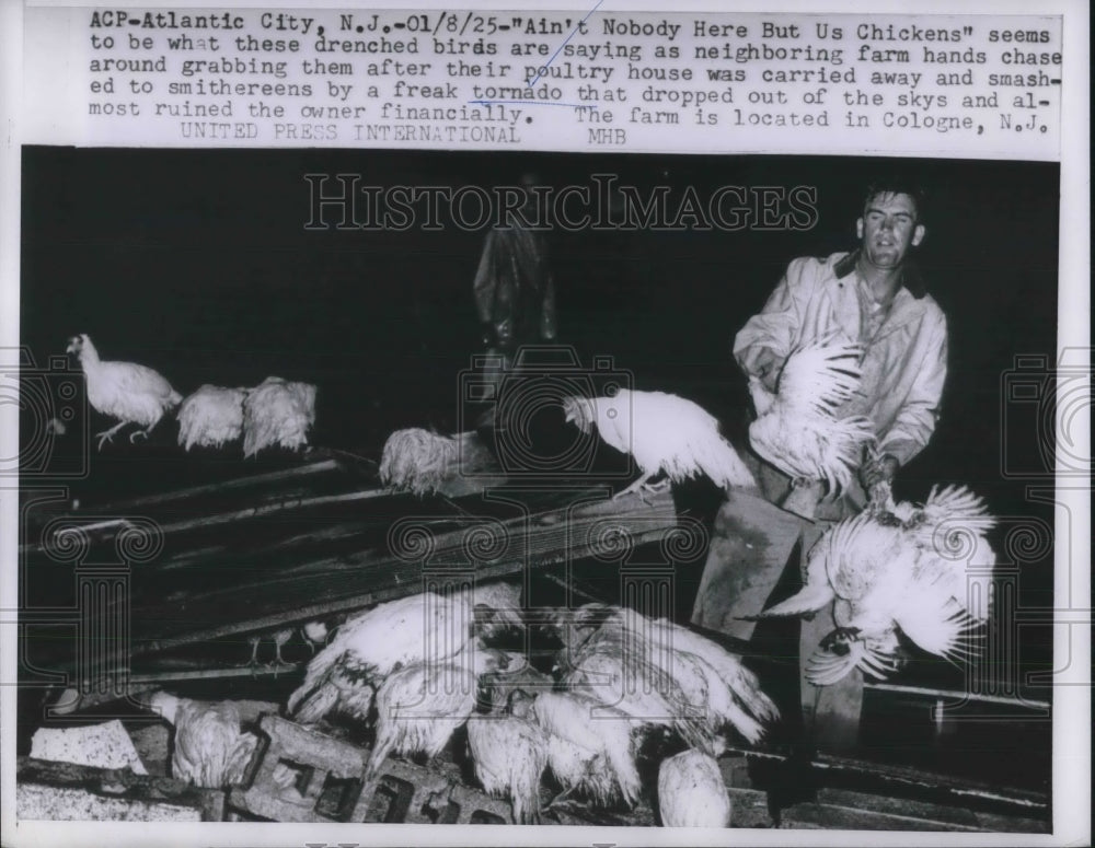 1958 Press Photo poultry farm damaged by tornado near Atlantic City, NJ - Historic Images