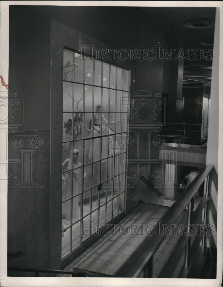 1949 Press Photo Display case on peat form building - Historic Images