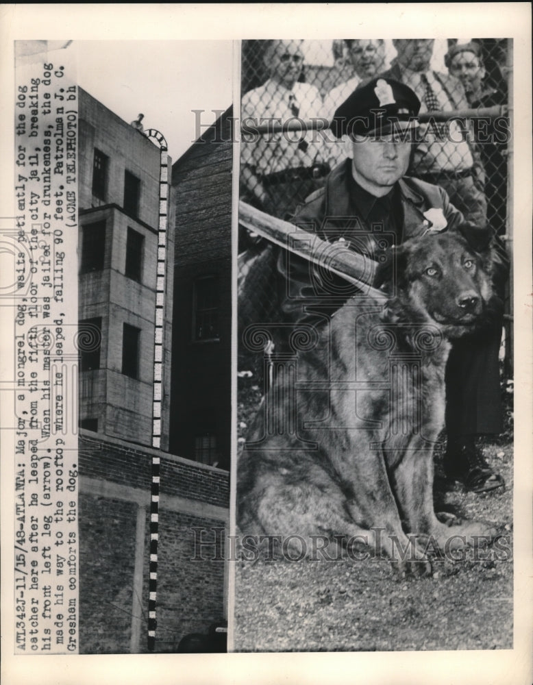 1948 Major Waiting for Dog Catcher Master is In Jail - Historic Images