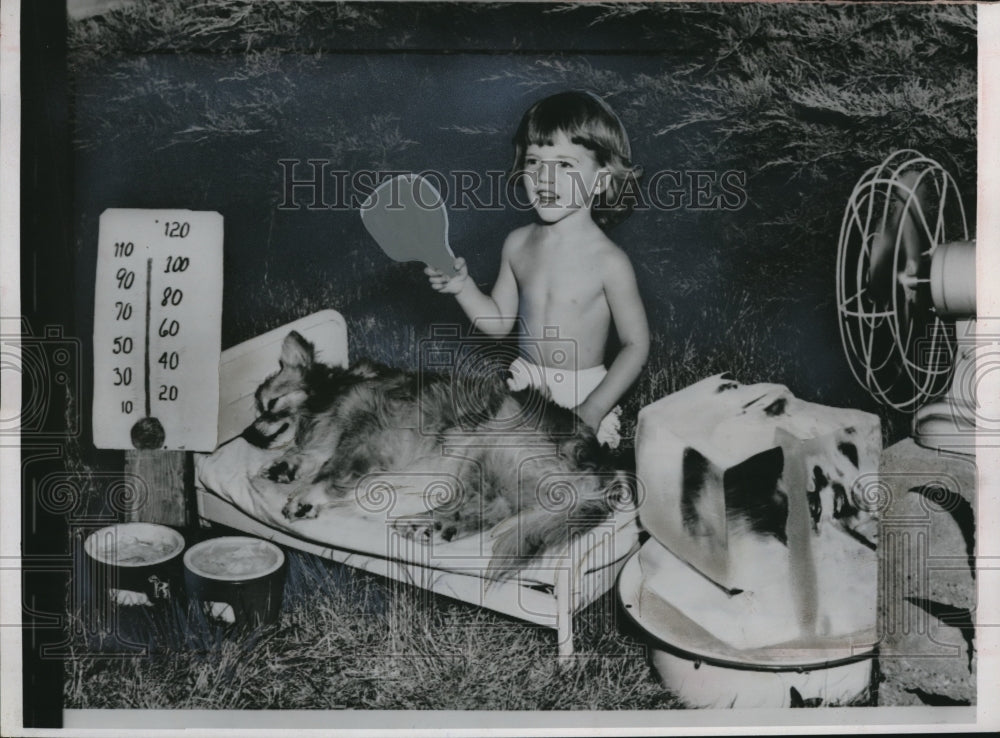 1953 Belton, Mo Karen Warren &amp; pet dog keep cool in heat wave - Historic Images