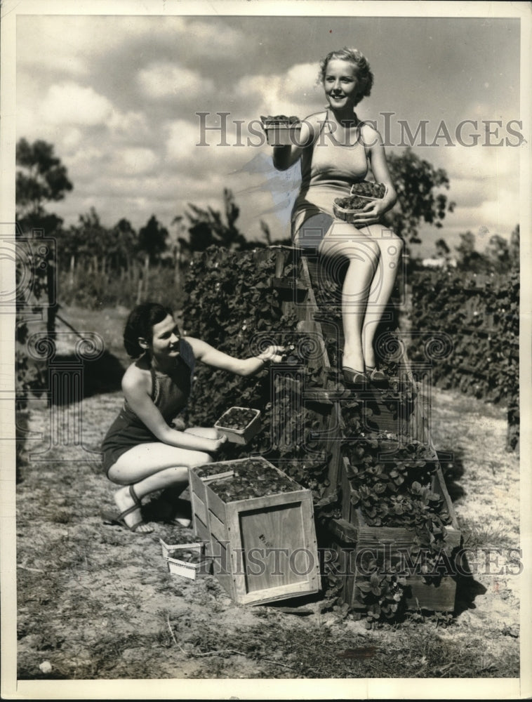 1936 Mildred Perryman & Lillian Lund Miami Girls Picking Berries-Historic Images