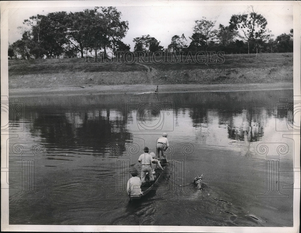 1947 Press Photo Todos Santos,Bolivia boat &amp; horse in floodwaters at Trinidad - Historic Images