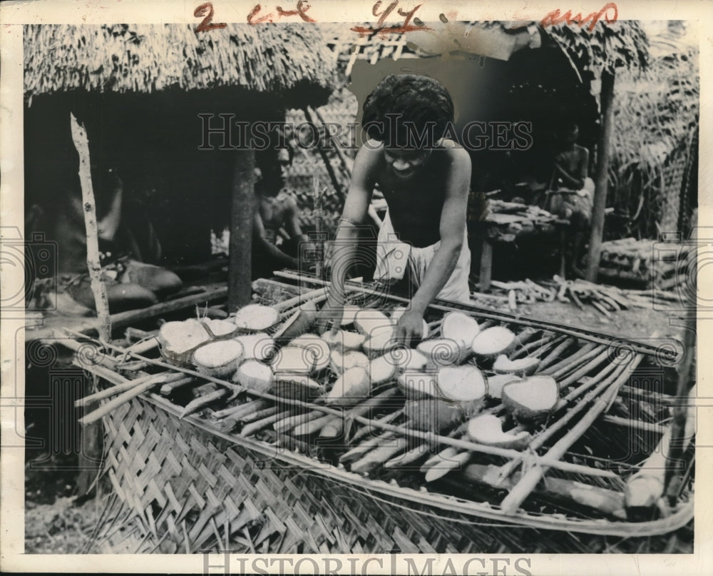 1948 Press Photo Trorriand Island natives dry coconut to make copra-Historic Images