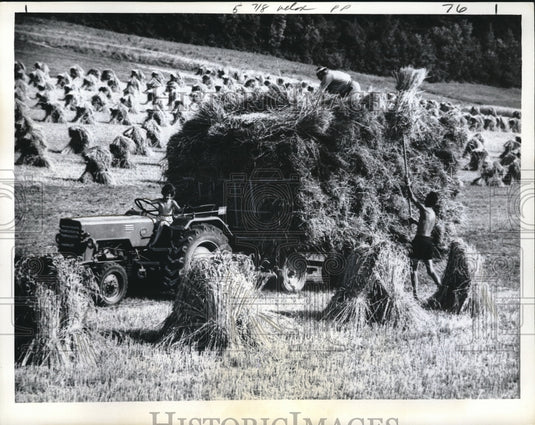 1964 Zurich, Switzerland, farmer with tractor harvests hay - Historic Images
