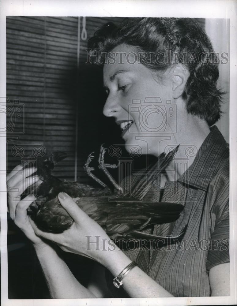 1957 Larchmont, NY Mrs George Mi;;s &amp; her pet crow - Historic Images