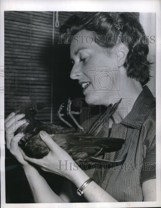 1957 Larchmont, NY Mrs George Mi;;s & her pet crow - Historic Images