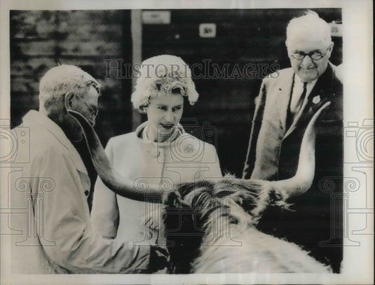 1961 Windsor, England Queen Elizabeth II at Agri show looks at bull - Historic Images