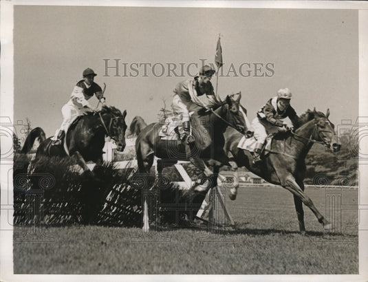 1937 Hounds & horse hunt meet in Westchester, NY - Historic Images