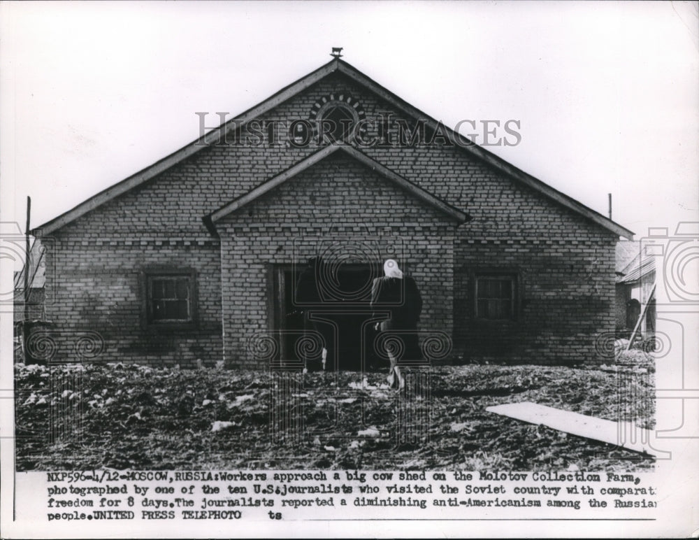 1953 Press Photo Workers Approach Big Cow Shed On Molotov Collection Farm - Historic Images