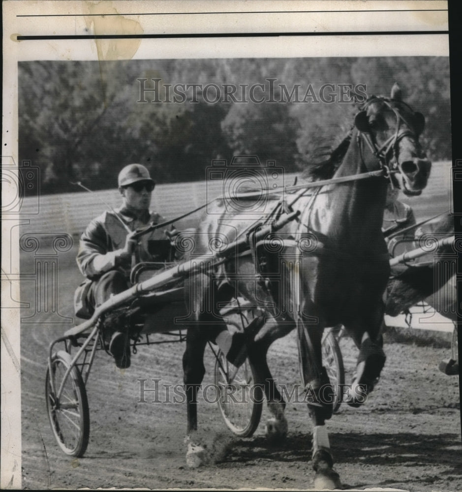 1959 Sulky driver behind his race gorse - Historic Images