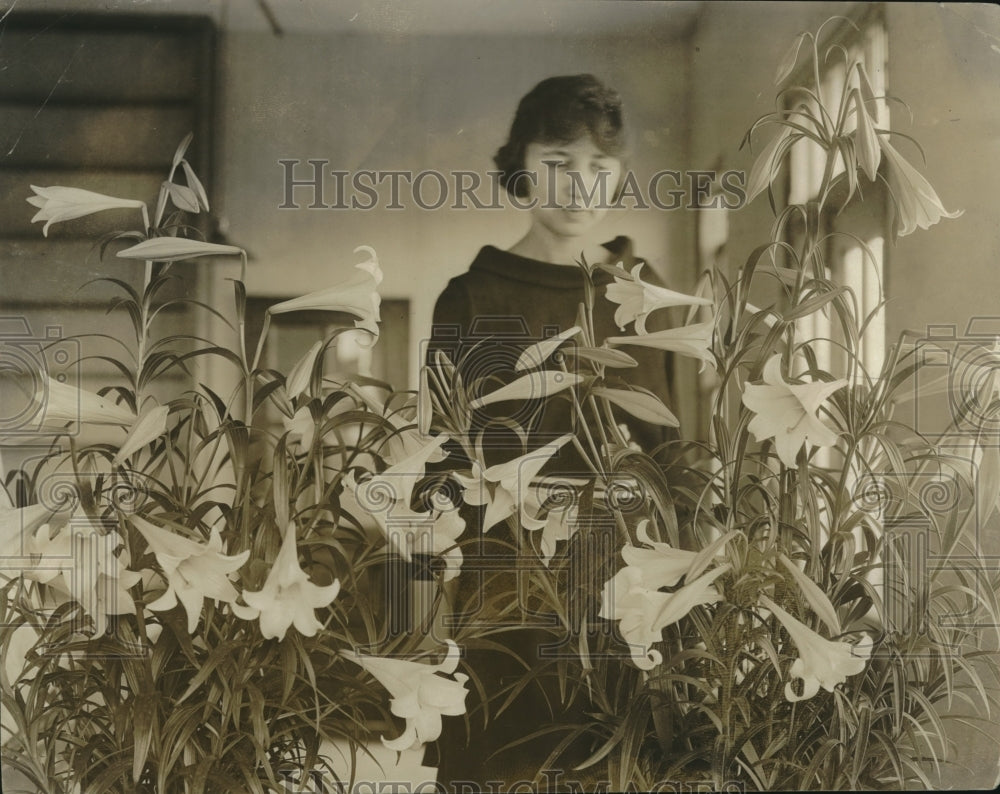 1925 Easter lilies grown at Dept of Agriculture at Washington, DC - Historic Images