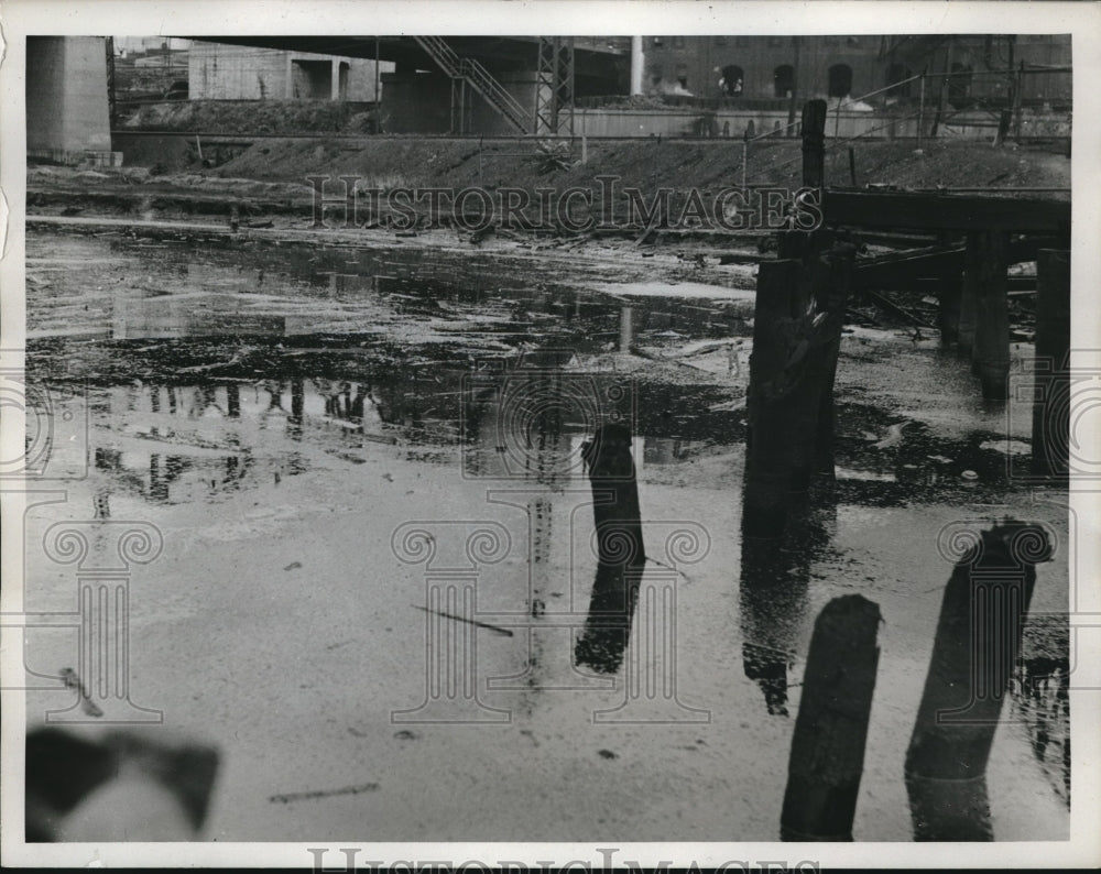 Scene from a polluted lake - Historic Images